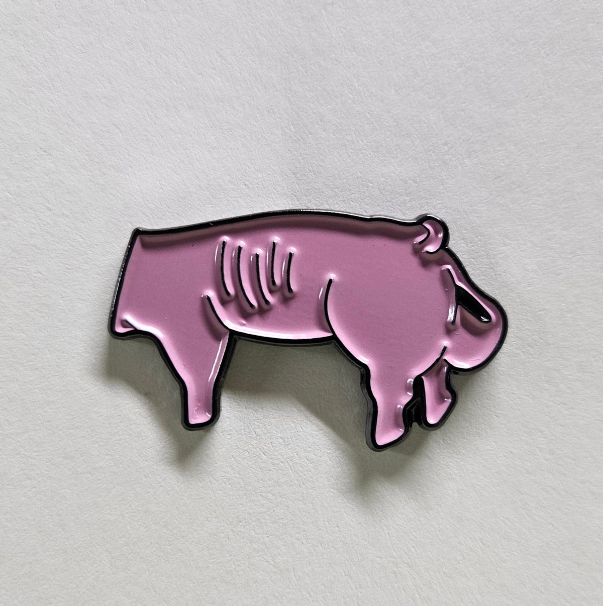 Pins